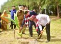 Canangkan Tobat Ekologis Nasional, Menteri LH Tanam Kelapa dan Mangrove di Padang Pariaman
