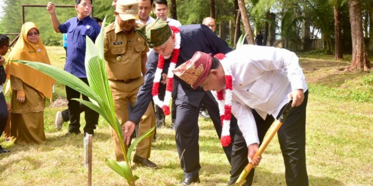 Canangkan Tobat Ekologis Nasional, Menteri LH Tanam Kelapa dan Mangrove di Padang Pariaman