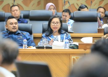 DPD RI Sorot Disparitas Harga di Daerah Kepulauan, Efektivitas Tol Laut Dipertanyakan