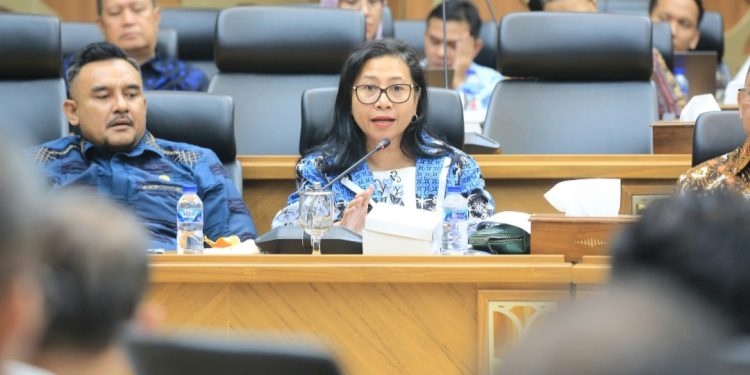 DPD RI Sorot Disparitas Harga di Daerah Kepulauan, Efektivitas Tol Laut Dipertanyakan