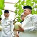 Bupati Agam Dorong Pertanian Modern untuk Tingkatkan Produktivitas dan Minat Generasi Muda