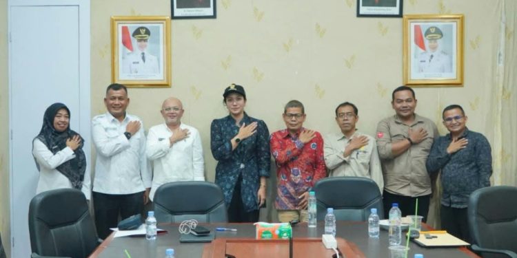 Bupati Dharmasraya Annisa Terima Audiensi Balai Pelestarian Kebudayaan, Bahas Pengembangan Kawasan Percandian