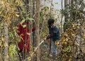 Dari Sebangau untuk Masa Depan Hutan: Perjalanan Faaiz Naufal Syahputra Menyatukan Pariwisata dan Konservasi