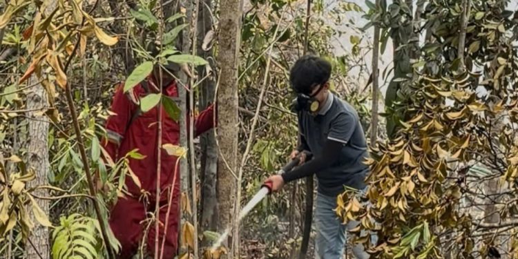 Dari Sebangau untuk Masa Depan Hutan: Perjalanan Faaiz Naufal Syahputra Menyatukan Pariwisata dan Konservasi