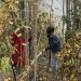Dari Sebangau untuk Masa Depan Hutan: Perjalanan Faaiz Naufal Syahputra Menyatukan Pariwisata dan Konservasi