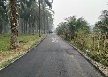 Meningkat dari Sirtu ke Aspal, Jalan Lagan Jaya-Sipangkur Terlihat Mulus