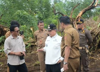 Percepat Pembangunan 440 Unit Huntap, Bupati Agam Tinjau Land Clearing Lokasi di Padang Mardani