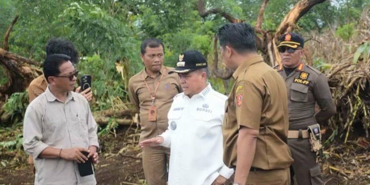 Percepat Pembangunan 440 Unit Huntap, Bupati Agam Tinjau Land Clearing Lokasi di Padang Mardani