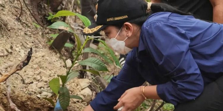 Bupati Dharmasraya Annisa Tinjau Area Bekas Karhutla di Timpeh, Langsung Lakukan Gerakan Penanaman Pohon